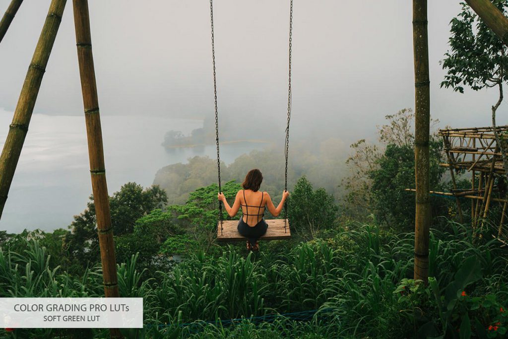 01_color-grading-luts_soft-green_d0bfd0bed181d0bbd0b5-1024x683-1 01 color grading luts soft green d0bfd0bed181d0bbd0b5 1024x683 1