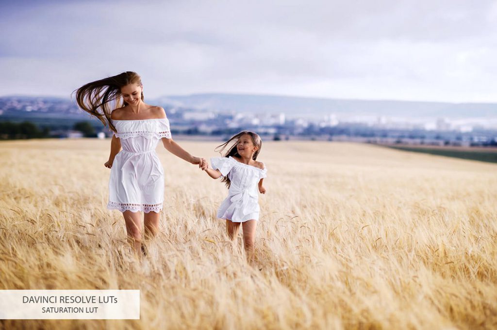 05_davinci-resolve-luts_saturation_d0bfd0bed181d0bbd0b5-1024x681-1 05 davinci resolve luts saturation d0bfd0bed181d0bbd0b5 1024x681 1