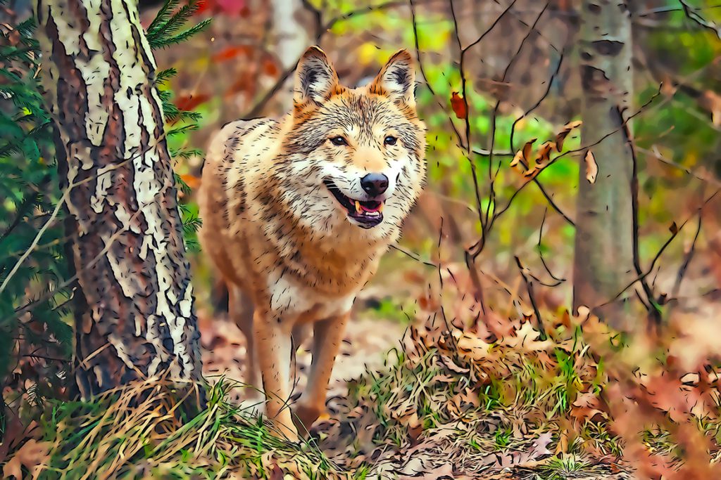 0_5-1024x683-1 0 5 1024x683 1