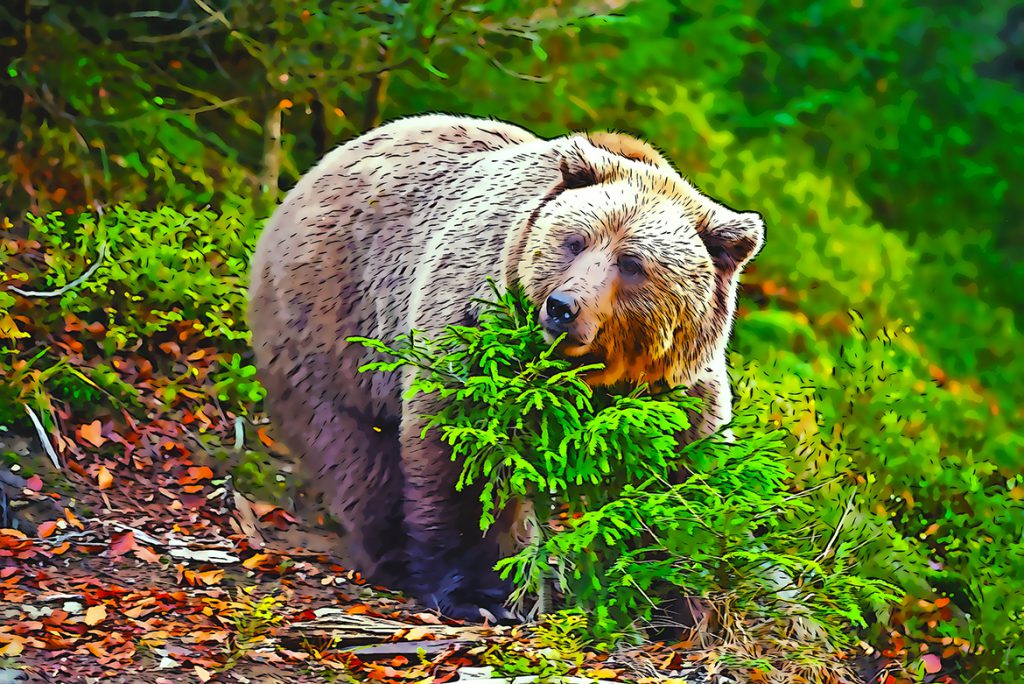 0_9-1024x684-1 0 9 1024x684 1