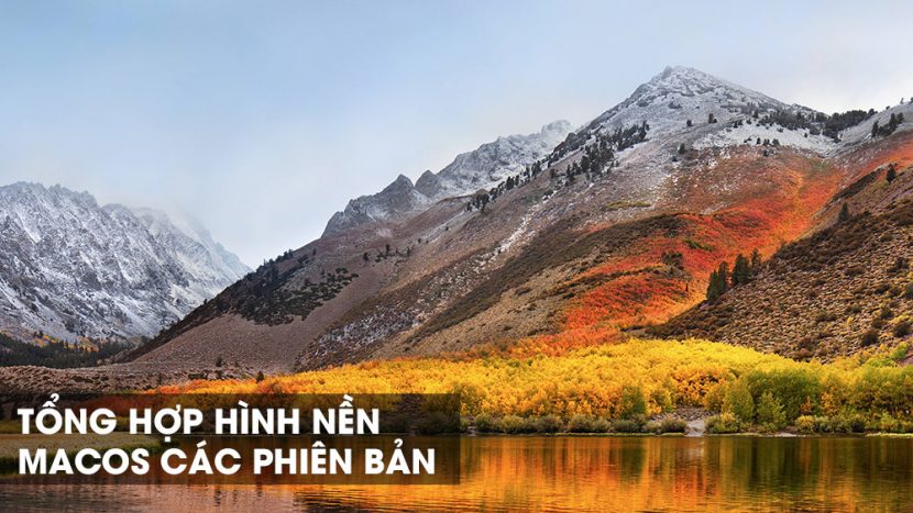 Ảnh nền 5k chất lượng cực cao của các đời macOS MacOs 1 10 13 beta 830x467 1