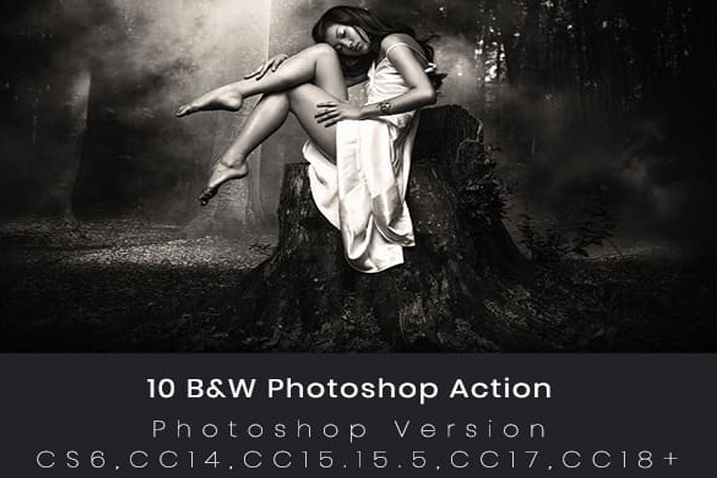 10 B&W Photoshop MacOs Action – Action ảnh trắng đen 1 10 bw photoshop action label