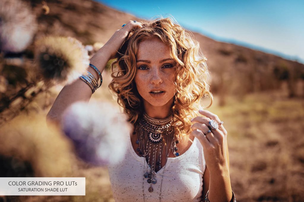 10_color-grading-luts_saturation-shade_d0bfd0bed181d0bbd0b5-1024x681-1 10 color grading luts saturation shade d0bfd0bed181d0bbd0b5 1024x681 1
