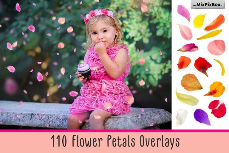 110flower petals first image 768x514 1