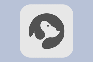 1553094568 ios data recovery