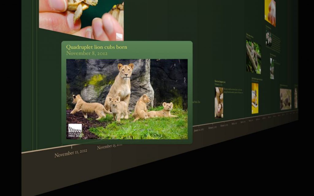 1605451083_timeline-3d_01-1024x640-1 1605451083 timeline 3d 01 1024x640 1