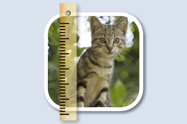 SizeMyPics macOS – Chuyển đổi, đóng dấu, resize ảnh 1 1613416341 sizemypics