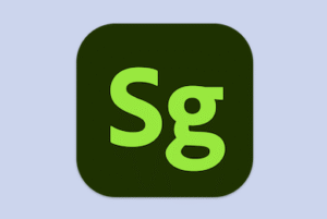 1628412075 3d stager