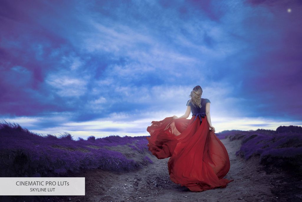 18 cinematic luts skyline 23 1024x683 1