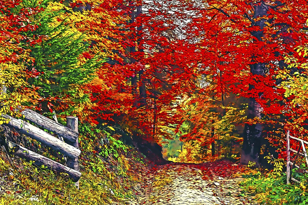 1_2-1024x683-1 1 2 1024x683 1