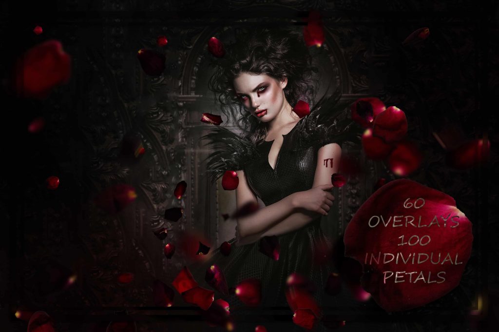 1___blood_petals_exc_nycor-1024x681-1 1 blood petals exc nycor 1024x681 1