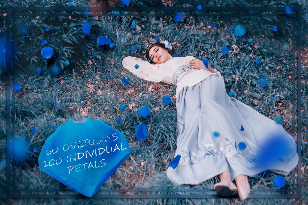 1___blue_petals-1024x681-1 1 blue petals 1024x681 1