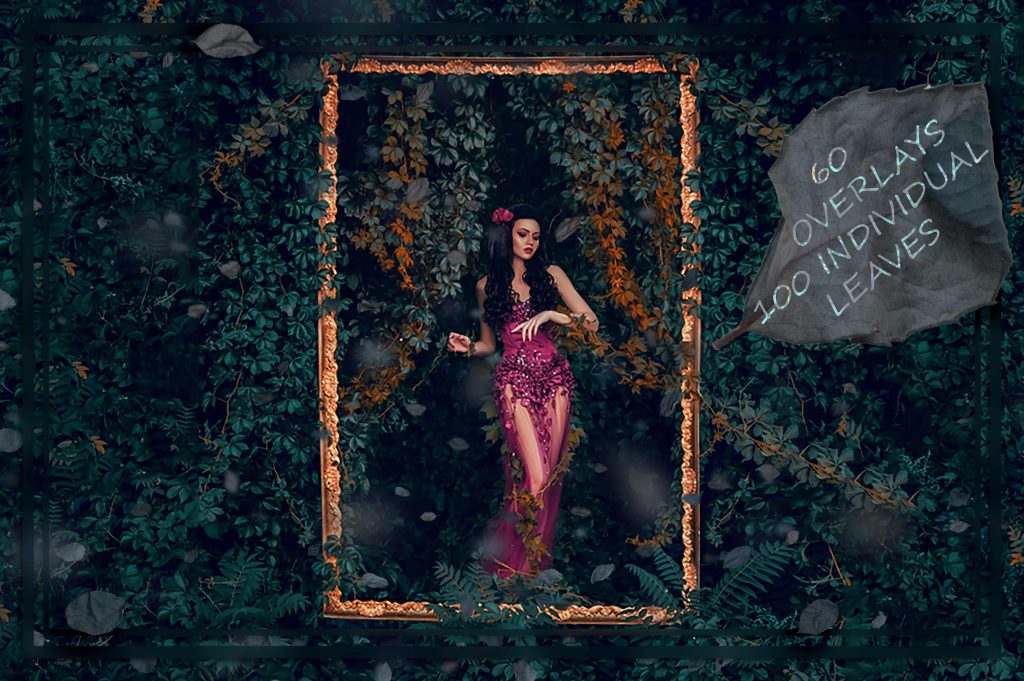 1___blush_leaves_exc_hrbii-1024x681-1 1 blush leaves exc hrbii 1024x681 1