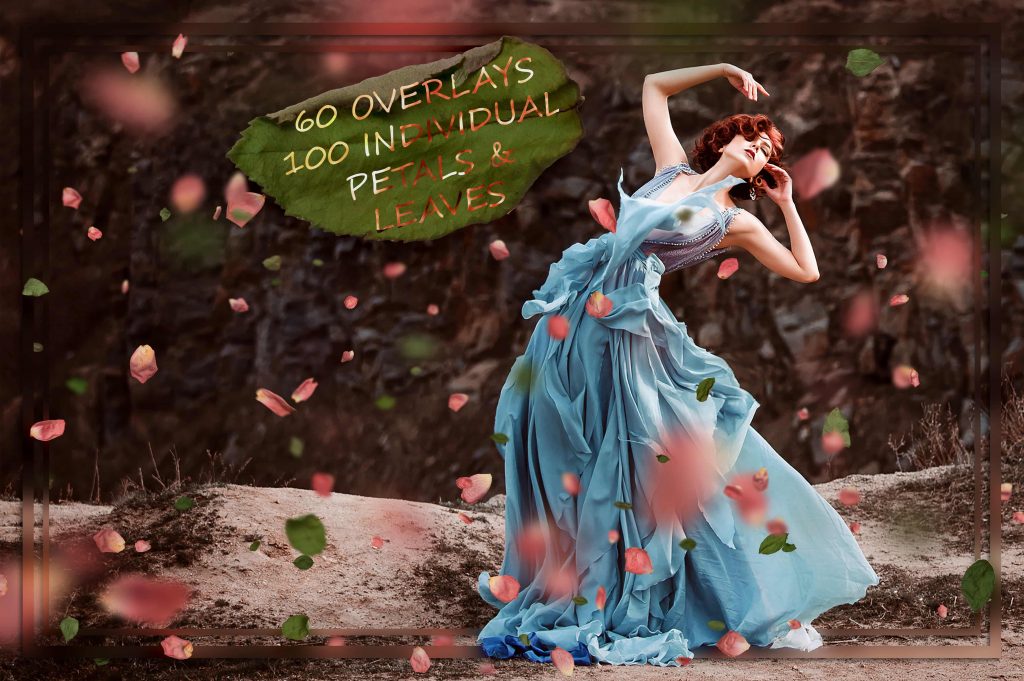 1___cute_petals_and__kou3n-1024x681-1 1 cute petals and kou3n 1024x681 1