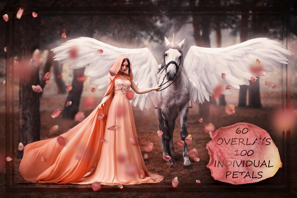 1___cute_petals_fair_elhcs-1024x681-1 1 cute petals fair elhcs 1024x681 1