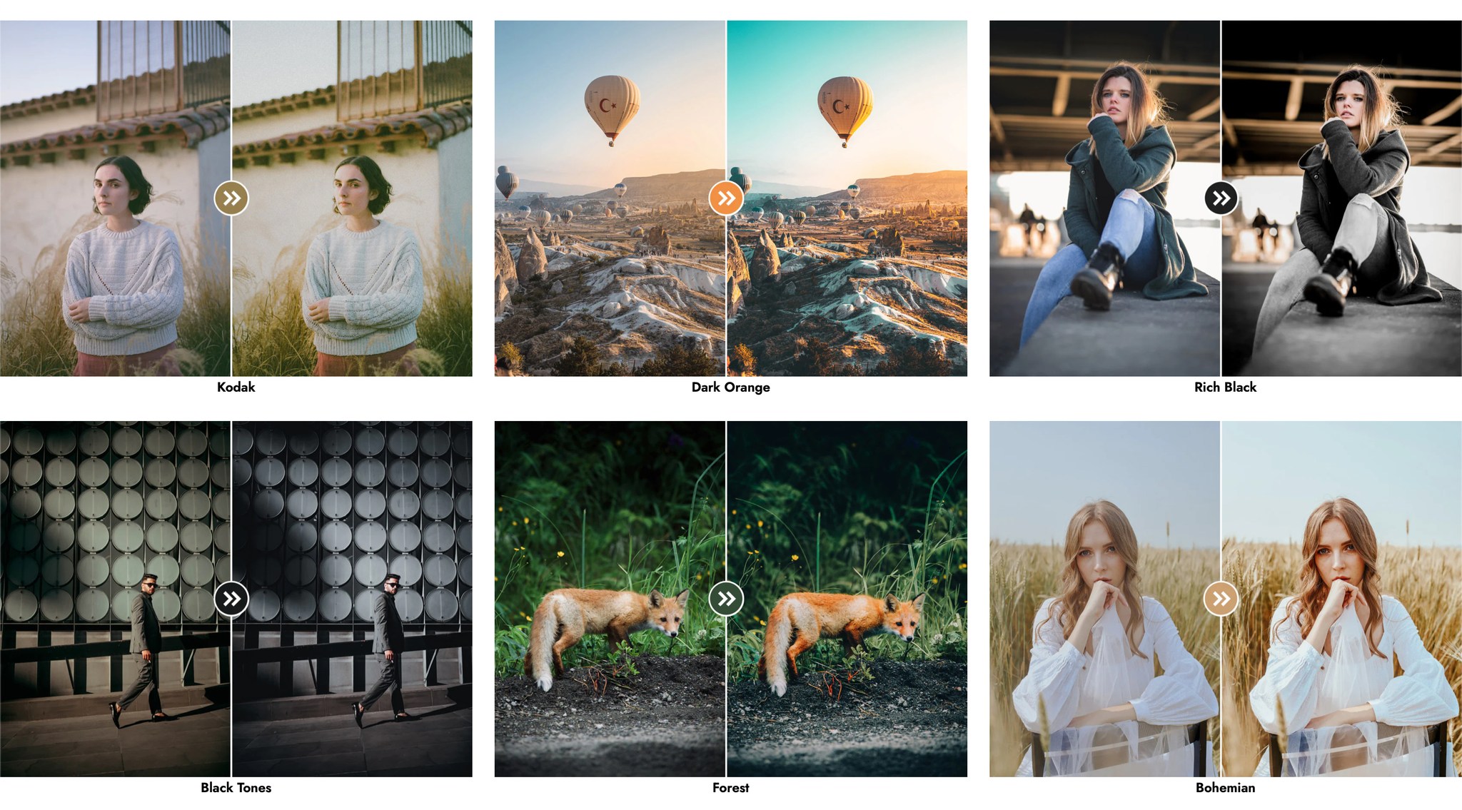 335652337_1252727748960898_9025924373913632801_n 335652337 1252727748960898 9025924373913632801 n