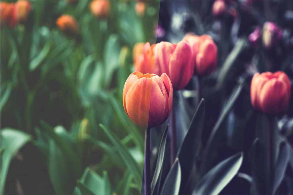 40-modern-photoshop-actions-1-1024x683-1 40 modern photoshop actions 1 1024x683 1