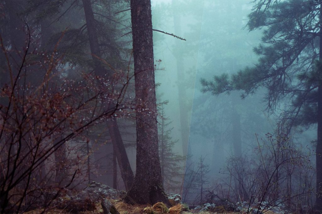 40-modern-photoshop-actions6-1024x683-1 40 modern photoshop actions6 1024x683 1