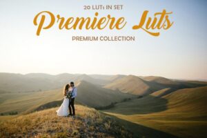 4023574 premiere luts 1 830x553 1