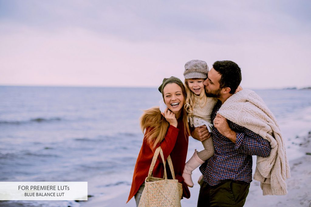 4023574-premiere-luts-2-1024x683-1 4023574 premiere luts 2 1024x683 1