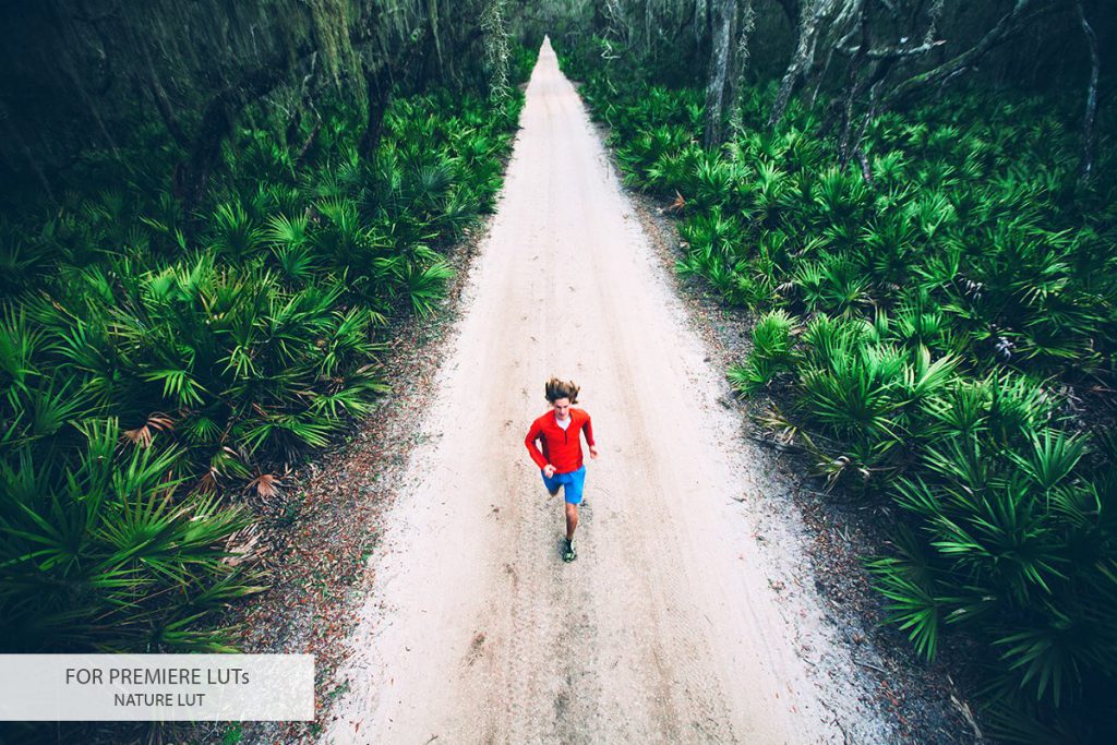 4023574-premiere-luts-4-1024x683-1 4023574 premiere luts 4 1024x683 1