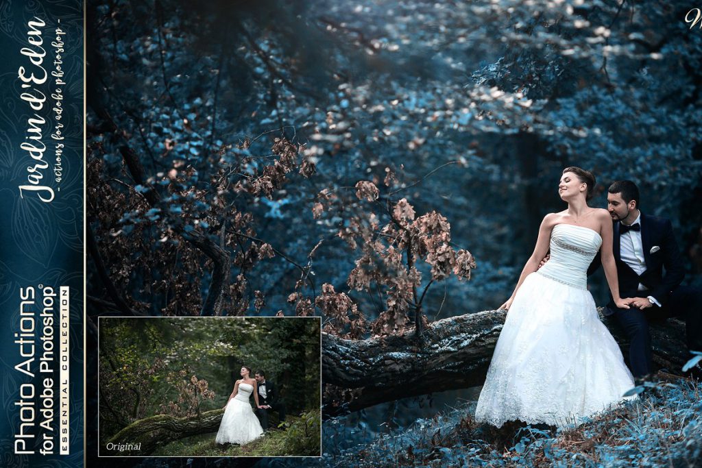 4469548-actions-for-photoshop-wedding-10-1024x683-1 4469548 actions for photoshop wedding 10 1024x683 1