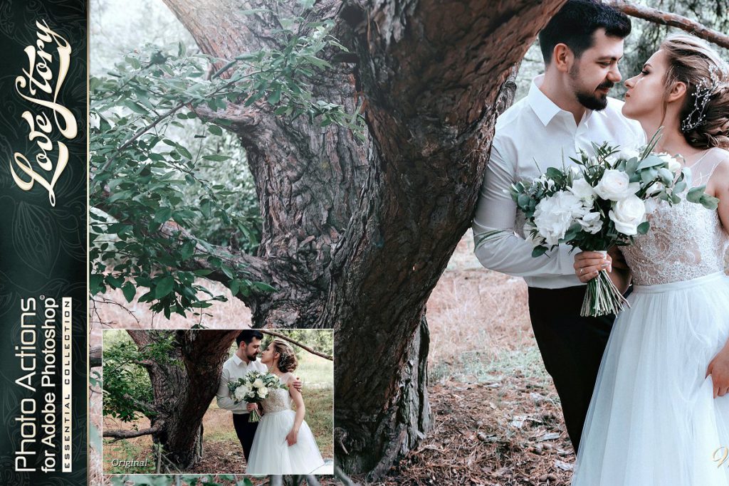 4469548-actions-for-photoshop-wedding-7-1024x683-1 4469548 actions for photoshop wedding 7 1024x683 1