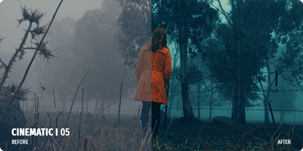 700 film looks lut color preset pack 2