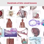 anatomy-and-physiology2-150x150-1 anatomy and physiology2 150x150 1