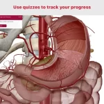 anatomy-and-physiology5-150x150-1 anatomy and physiology5 150x150 1