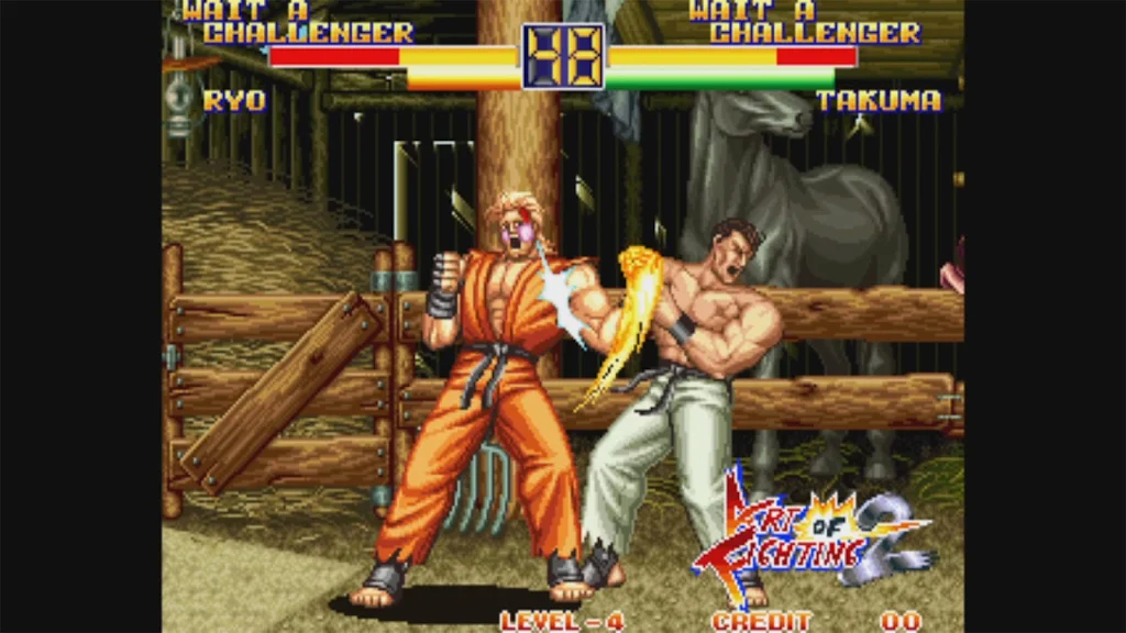 art of fighting 21