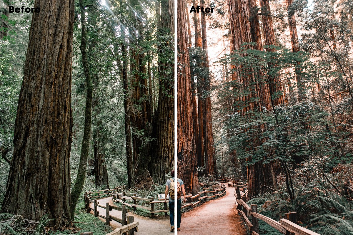 before-after-3 before after 3