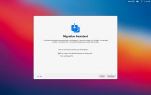 big-sur-2-300x188-1 big sur 2 300x188 1