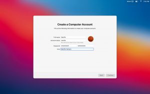 big-sur-3-300x188-1 big sur 3 300x188 1