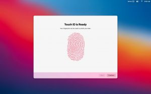 big-sur-4-300x188-1 big sur 4 300x188 1