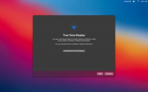 big-sur-5-300x188-1 big sur 5 300x188 1