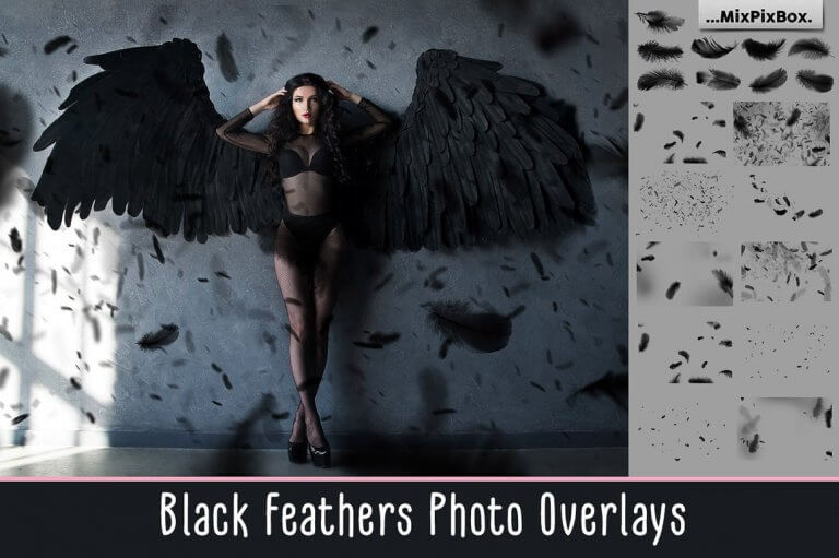 black feathers first image 768x511 1