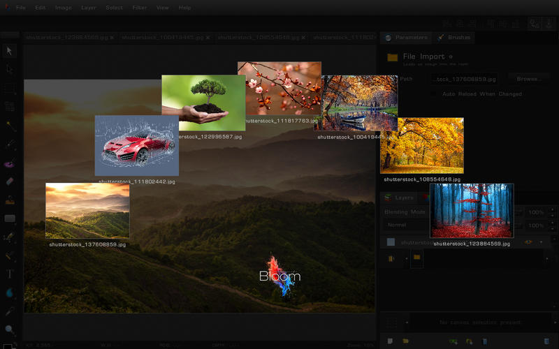 bloom-photo-editor bloom photo editor