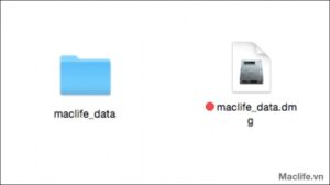 cach dacca3cc86t macca3cc82t khacc82cc89u cho thucc9b mucca3c trecc82n mac