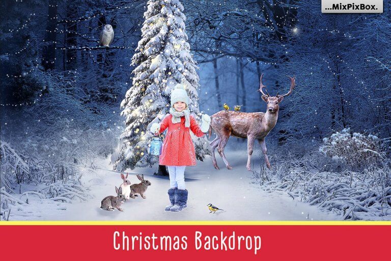 christmas backdrop first image 768x514 1