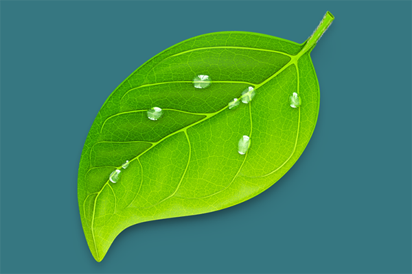 Coda macOS 2.6.1 – Công cụ cho nhà phát triển Web 1 coda 2