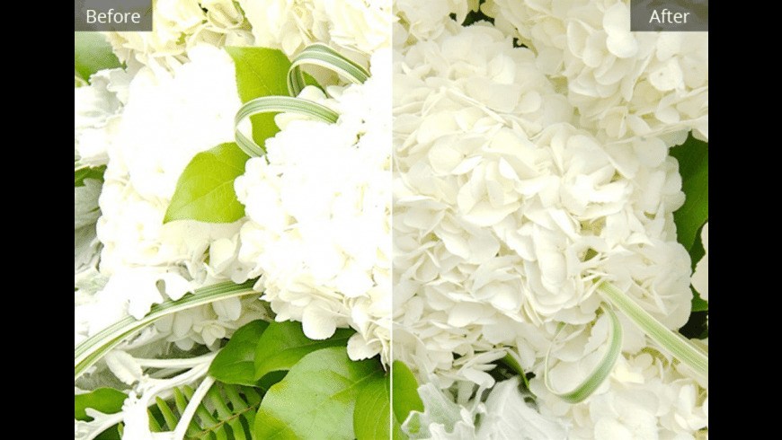 corel-aftershot-download corel aftershot download