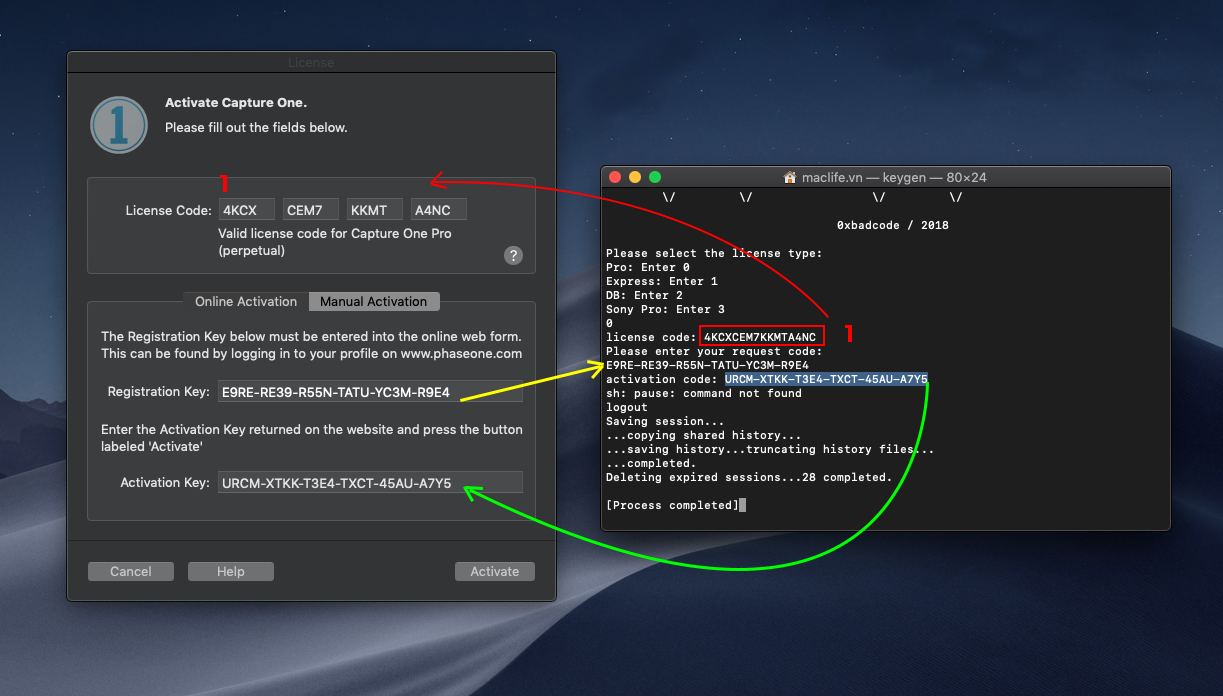 crack-capture-one-pro-3 crack capture one pro 3