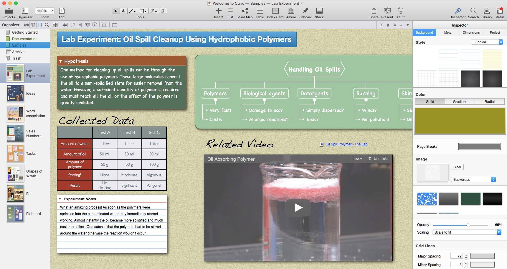 curio-cho-mac curio cho mac