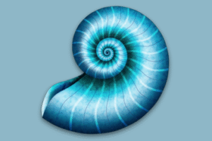 devonthink personal mac