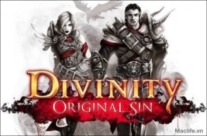 divinity original sin game nhacca3cc82p vai hacc82p dacc82cc83n