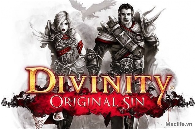divinity original sin game nhacca3cc82p vai hacc82p dacc82cc83n