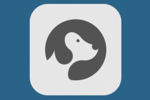 fontdog android data recovery