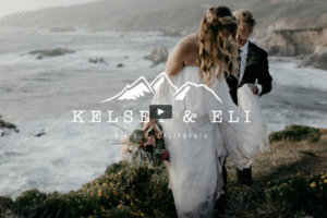 forestry film luts 830x553 1