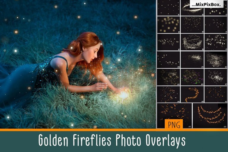 golden fireflies first image 768x514 1